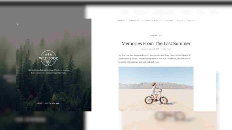 Wild Book, a vintage and elegant WordPress blog theme perfect for bloggers and creatives. Learn about its features, design, and customization options