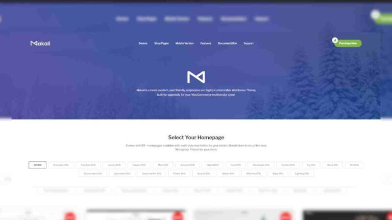 Discover Makali, the multipurpose WooCommerce WordPress theme. Explore its features, customization options, and how it can enhance your online store
